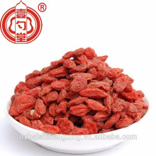 Lycii fructus, Gouqi zi / Ningxia Goji wolfberry Grau Premium Secas Goji berries / Boxthorn / Saúde Seca Chinês Wolfberry nutrição